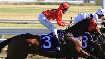 Gumbys Gossip  Bunbury 15th Feb